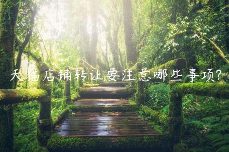 天貓店鋪轉(zhuǎn)讓要注意哪些事項?